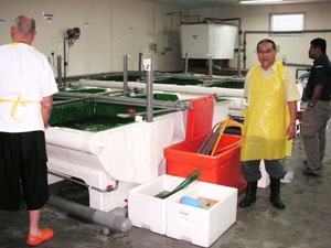 Schulung Fischproduktion